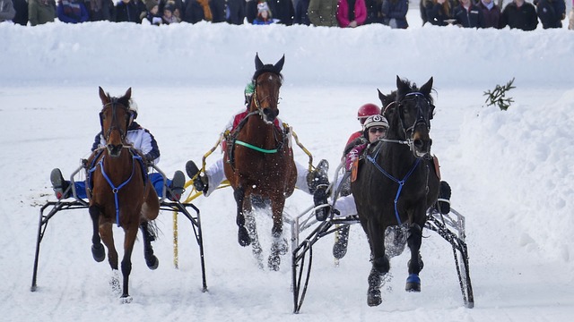 励孩子参加 励孩子参加