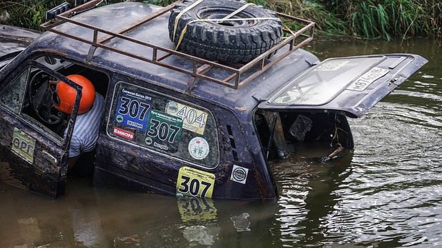 仅为他的职 仅为他的职