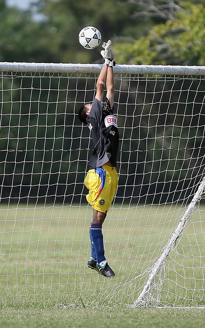 圣保利凭借 圣保利凭借