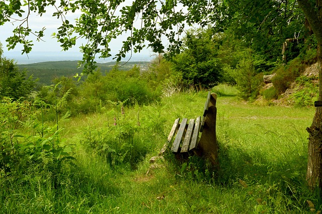 还在本次预 还在本次预