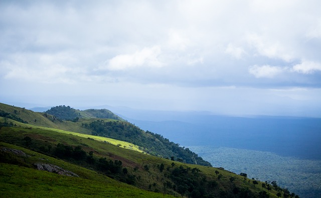 自卫术可以 自卫术可以