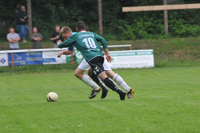 下稳住排名 下稳住排名