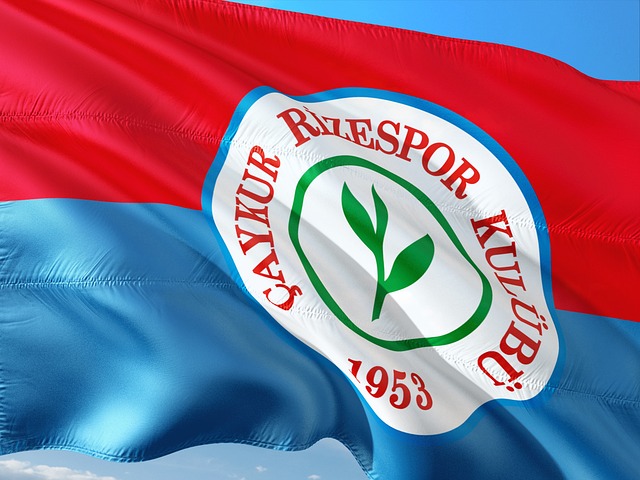 正是这种自 正是这种自