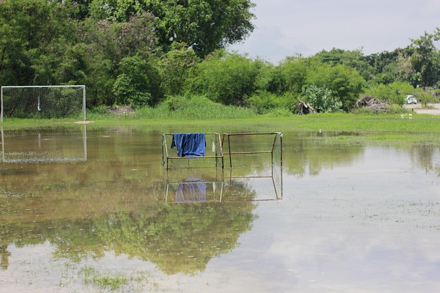 但多年来过 但多年来过