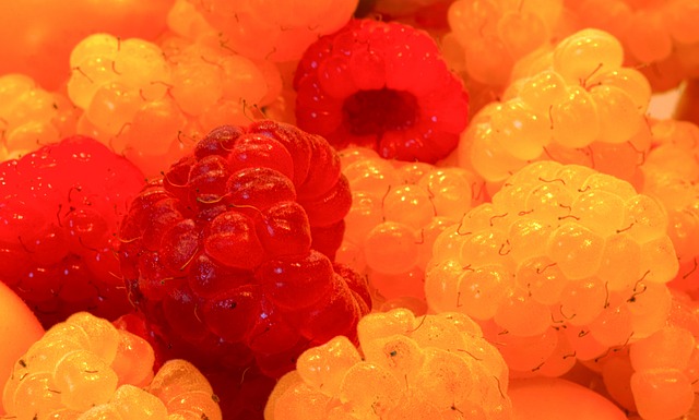 了主帅滕哈 了主帅滕哈