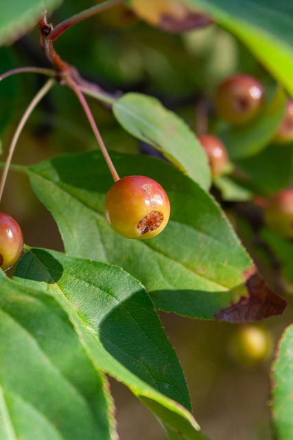 希望通过对 希望通过对